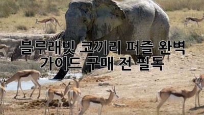 블루래빗 코끼리 퍼즐🐘 완벽 가이드: 구매 전 필독!